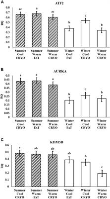 Genes Associated With Chromatin Modification Within the Swine Placenta Are Differentially Expressed Due to Factors Associated With Season